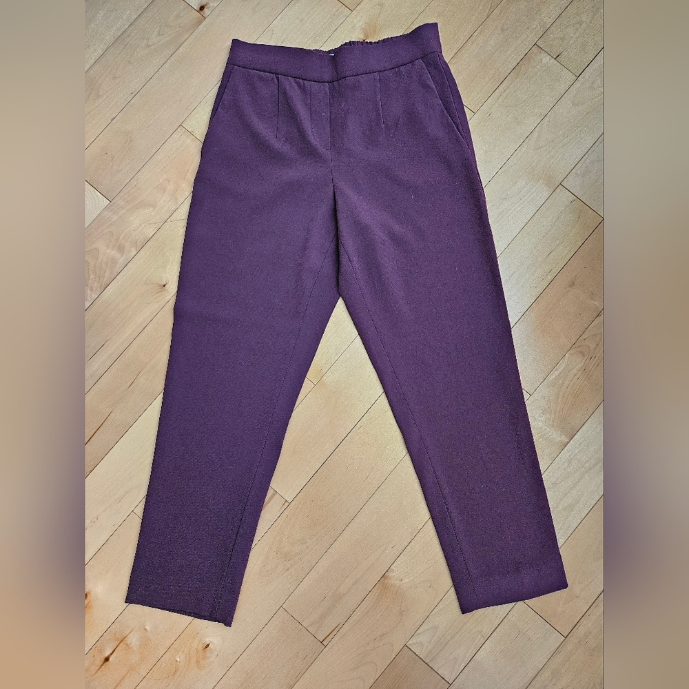 Aritzia Conan pants XS